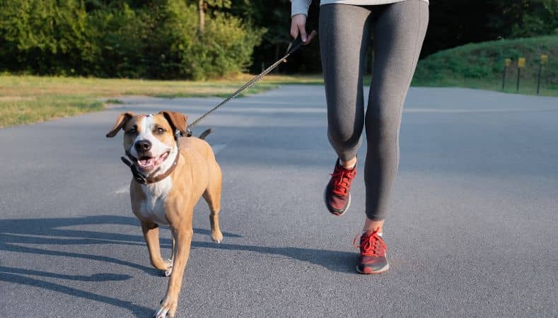 Persona corriendo con su perro