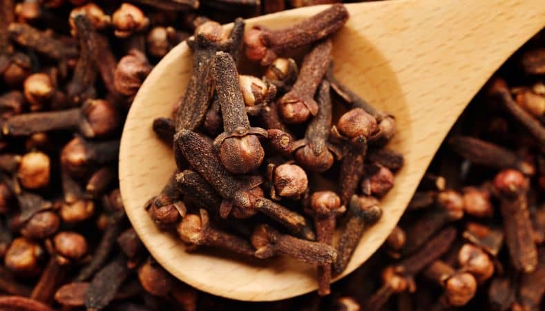 Clavo de Olor Especia