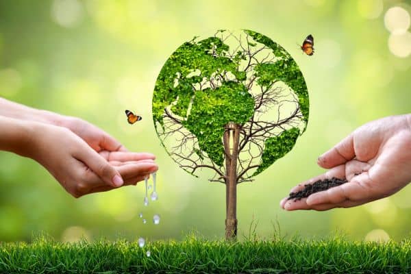 impacto de capsulas de cafe en el medioambiente